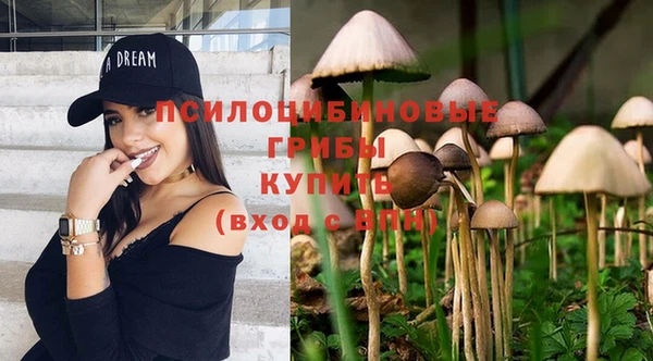 ECSTASY Абинск