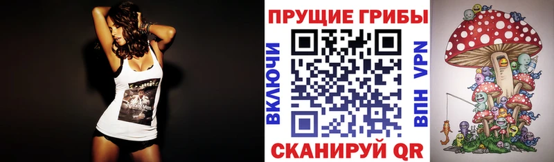 Псилоцибиновые грибы мицелий  Кораблино 